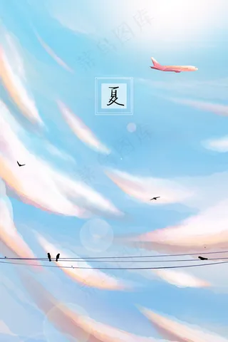 夏日天空中小鸟停在电线杆上飞机在飞