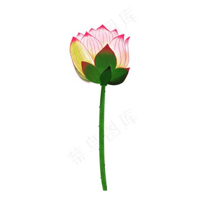 花荷花元素设计(2000X2000(DPI:300))psd模版下载