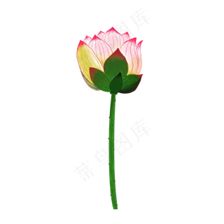 花荷花元素设计 花荷花元素设计