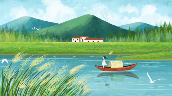 白露节气江边芦苇风景