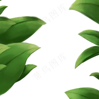 小清新绿色植物边框免抠图