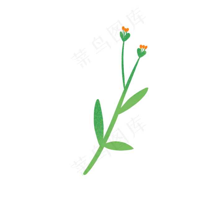 植物花朵(2000X2000(DPI:300))psd模版下载