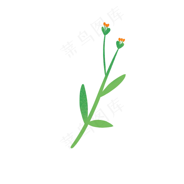 植物花朵(2000X2000(DPI:300))psd模版下载