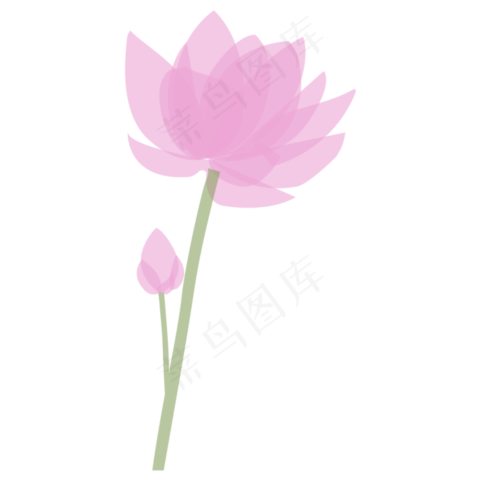 一支粉色盛开的荷花免抠图(2000X2000(DPI:300))psd模版下载