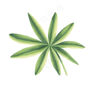 卡通手绘唯美树叶