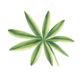 卡通手绘唯美树叶