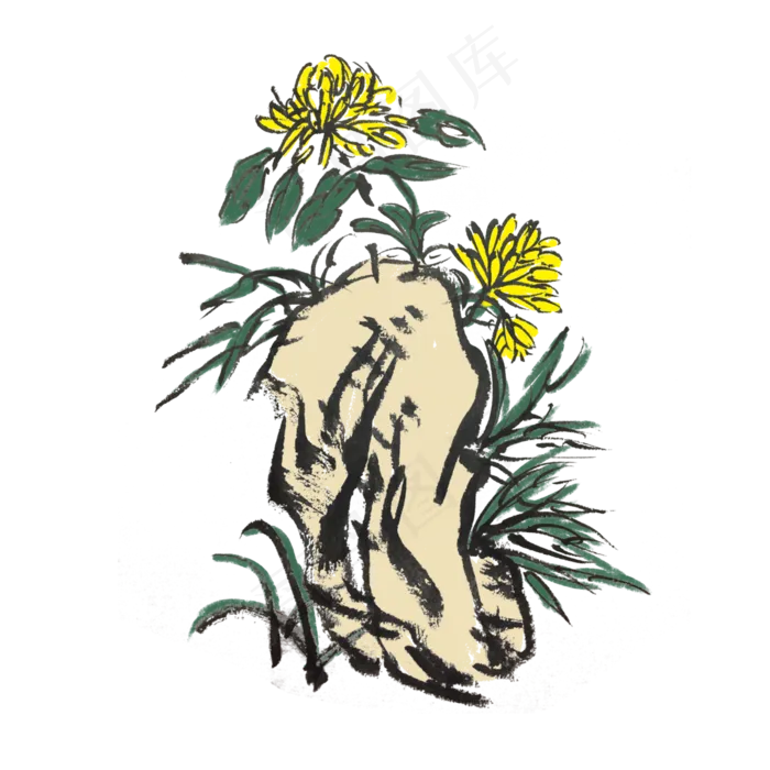 水墨风手绘花草图,免抠元素