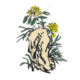 水墨风手绘花草图,免抠元素