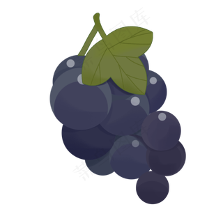 葡萄卡通装饰紫色叶子水果