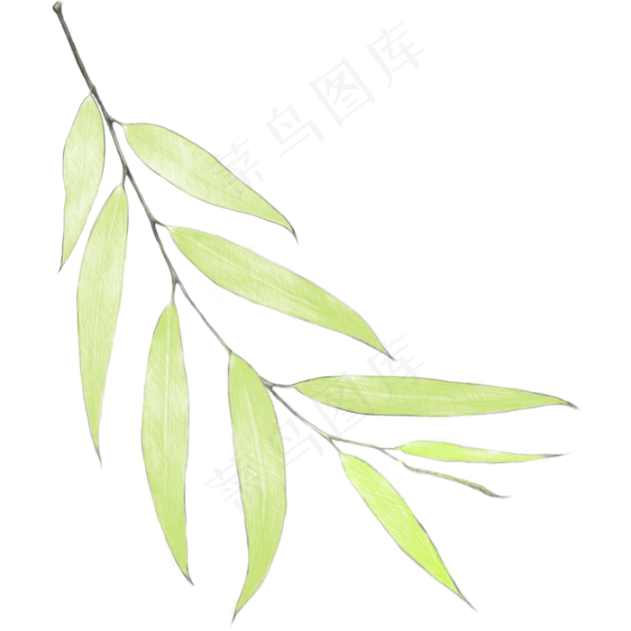 清明节初春手绘风柳叶