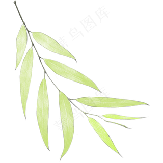 清明节初春手绘风柳叶