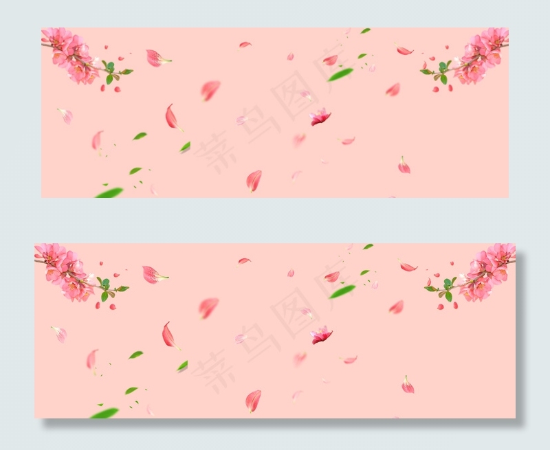粉色花瓣女生节海报背景