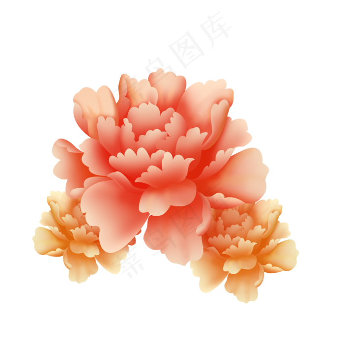 牡丹花富贵花