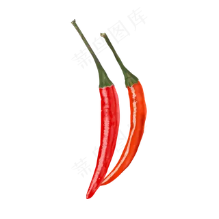 手绘仿真食材辣椒,免抠元素