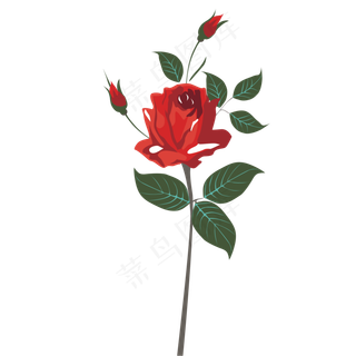 一支卡通红色玫瑰花朵免抠图