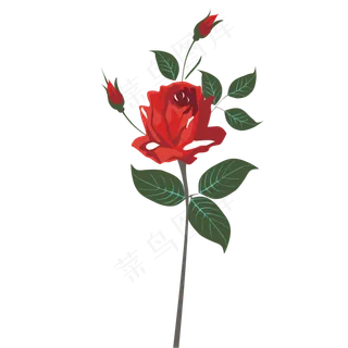 一支卡通红色玫瑰花朵免抠图