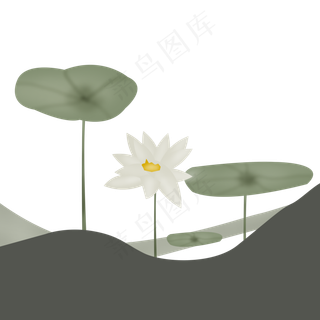 手绘荷花荷叶池塘