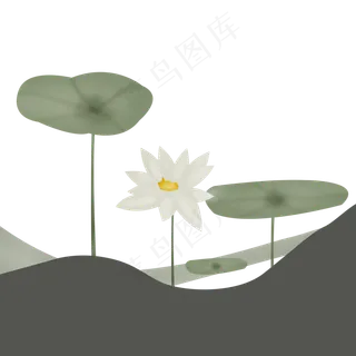 手绘荷花荷叶池塘