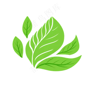 绿色植物叶子手绘透明底免抠