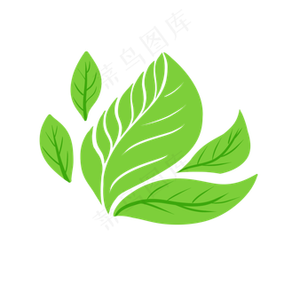 绿色植物叶子手绘透明底免抠