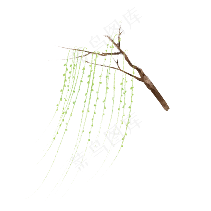 手绘垂着柳条的柳树(2000X2000(DPI:300))psd模版下载