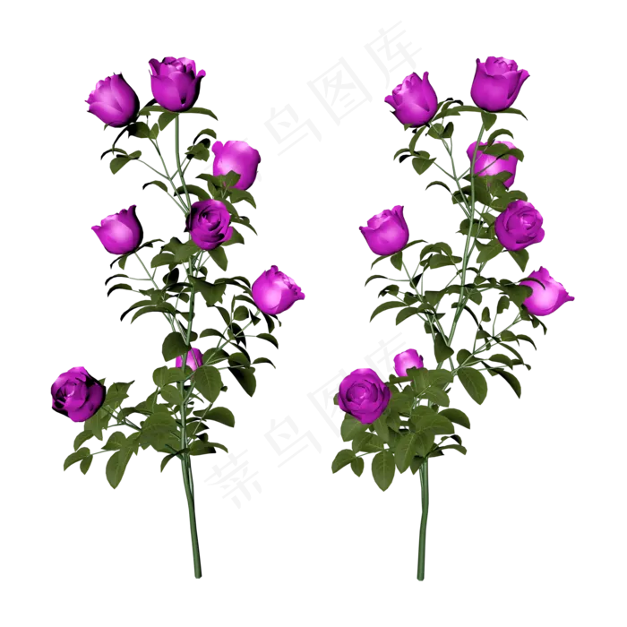 盛开的玫瑰(2480X3508(DPI:300))psd模版下载