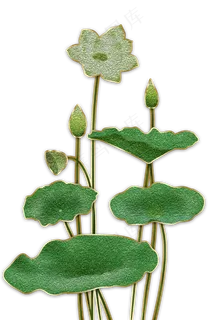 珐琅彩荷花荷叶装饰画