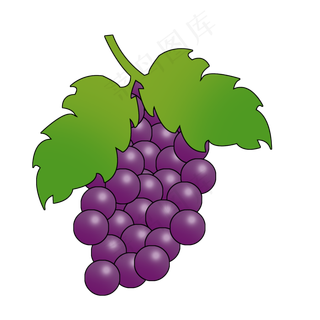夏日夏天水果葡萄