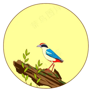 中国风花鸟圆形边框仙八色鸫矢量,免抠元素