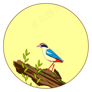 中国风花鸟圆形边框仙八色鸫矢量,免抠元素