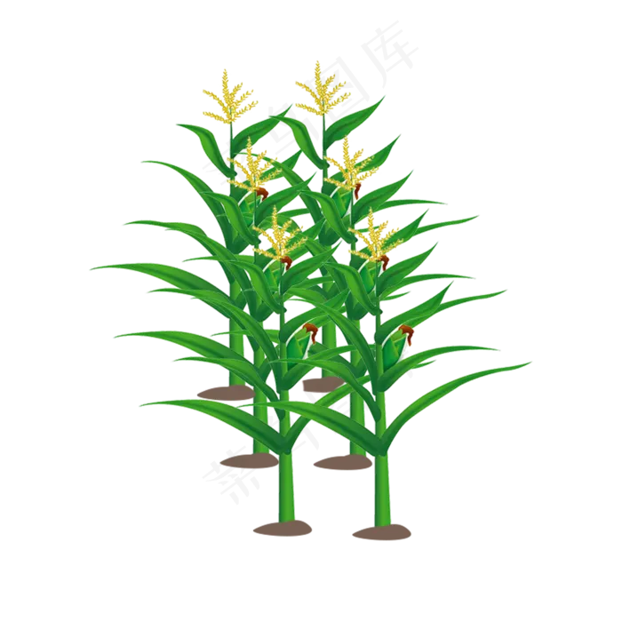 绿色的植物和黄色的花穗手绘设计(2000X2000(DPI:300))psd模版下载