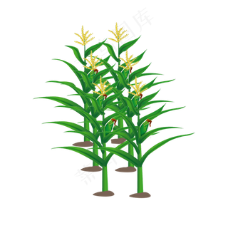 绿色的植物和黄色的花穗手绘设计