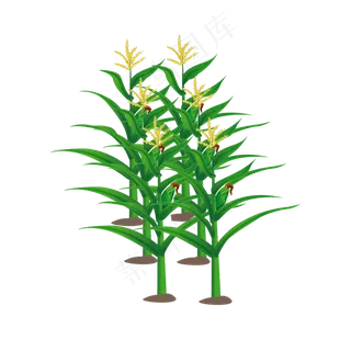 绿色的植物和黄色的花穗手绘设计