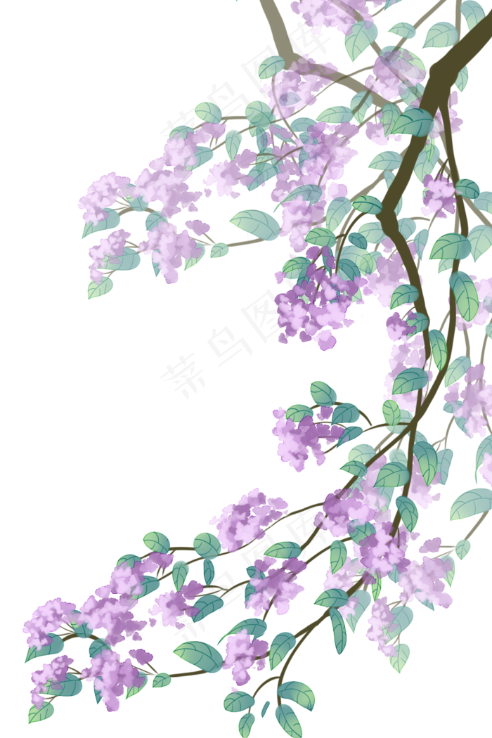 紫色古风花紫荆花