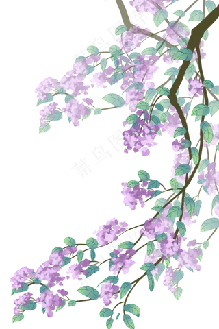 紫色古风花紫荆花