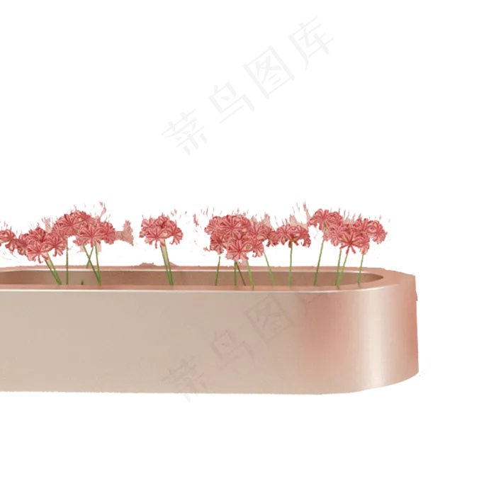 红色的花朵免抠图(2000X2000(DPI:300))psd模版下载