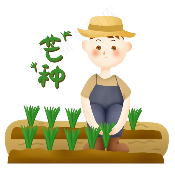 芒种种稻(3000X3000(DPI:300))psd模版下载