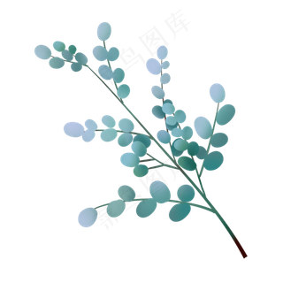 室内装饰绿植圆叶子树枝,免抠元素
