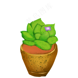 绿色的一簇草本植物