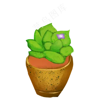 绿色的一簇草本植物