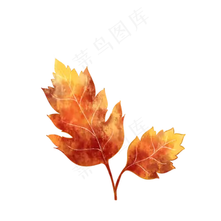 手绘水彩叶子绿色植物