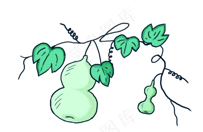 手绘绿色生长的葫芦