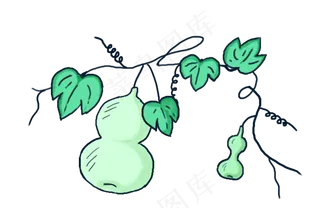 手绘绿色生长的葫芦