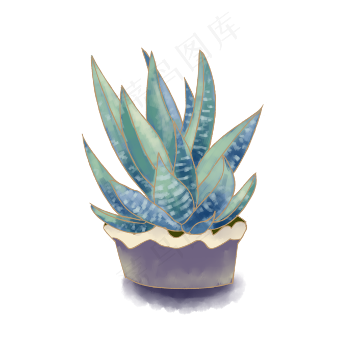 多肉绿色植物手绘插画,免抠元素