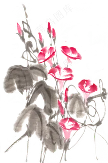 盛开的牵牛花水墨画PNG免抠素材