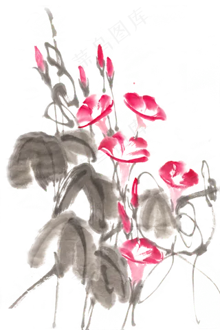 盛开的牵牛花水墨画PNG免抠素材