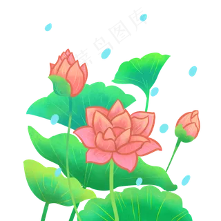 手绘荷花荷叶素材