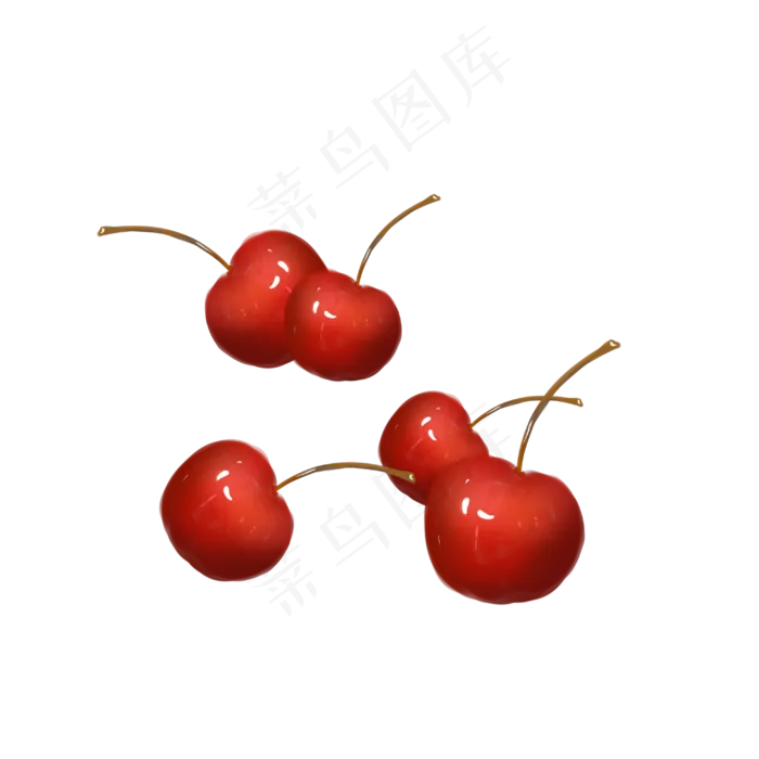 一堆新鲜的樱桃手绘(3000X3000(DPI:300))psd模版下载