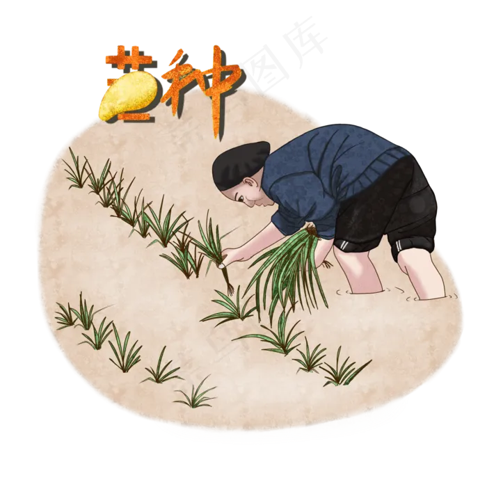 二十四节气之芒种手绘老人插秧P(2000X2000(DPI:300))psd模版下载