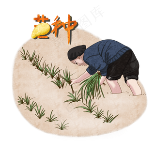 二十四节气之芒种手绘老人插秧P